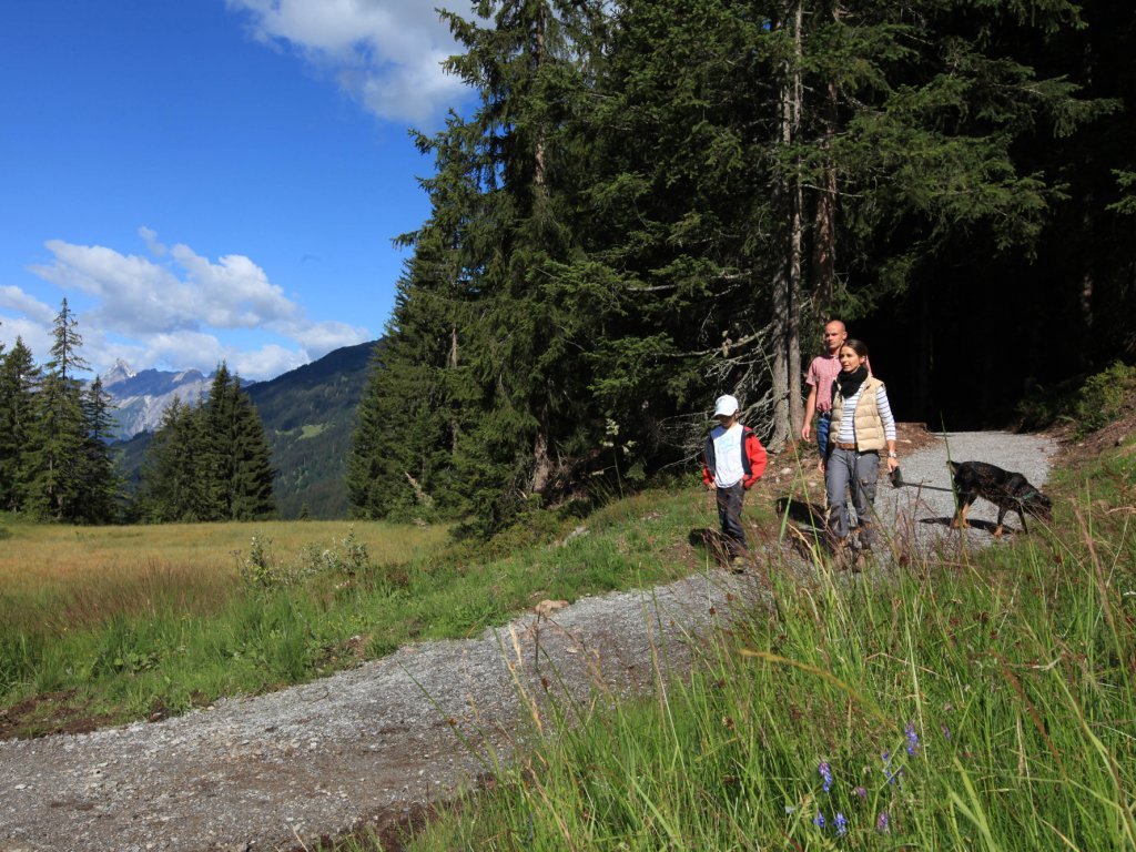 Silberpfad im Montafon 