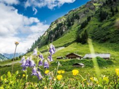 Alpe Garnera in Gaschurn im Montafon