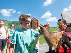 Mit der Familie wandern und erholen an der Alpe Unterdamüls